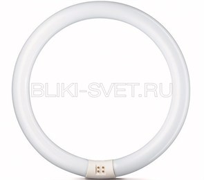 55942515 PHILIPS TL-E 22W/33-640 G10q белый свет Лампа люминесцентная кольцевая (уп.12шт.) 871150055942515