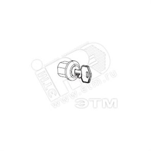 R5CE228 RAMblock Личинка замка, для вкладыша, с индивидуальным ключом ДКС R5CE228