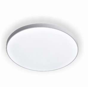 LE062500-001 Светильник BL 18W 233х45 5000K IP65 LEEK 988009308