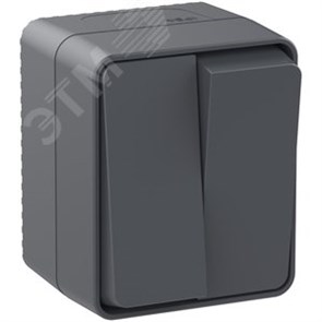 ATN544051 AtlasDesign Profi54 Двухклавишный выключатель (сх.5) IP54, антрацит Schneider Electric ATN544051
