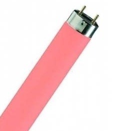 0072684140 PHILIPS TL-D 18W/15 Red Лампа линейная люминесцентная G13 T8 красная (уп.25шт.) 871150072684140