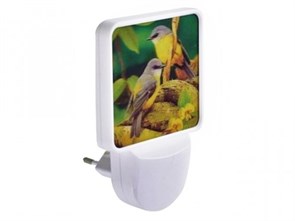 ВЫВЕДЕНА! NL-165 Ночник светодиодный с фотосенсором "Птички", 1W 220V (уп.12/120шт.) Camelion NL-165
