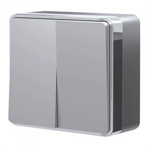 W5020006 серебряный Gallant Выключатель двухклавишный (уп.10шт.) Werkel™ a052769-1