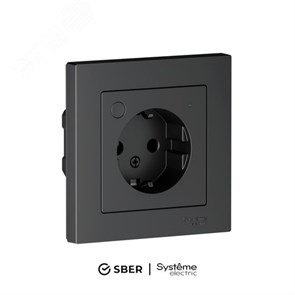 ATN001045Z AtlasDesign Smart Механизм умной розетки 1 гнездо с заземлением и шторками, Zigbee, L+N, карбон Systeme Electric (Россия) ATN001045Z