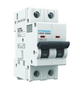 HGD63-M 2PMCS0000C 00025 Выключатель автоматический 2п 25A С 6кА Hyundai Electric HGD63-M 2PMCS0000C 00025