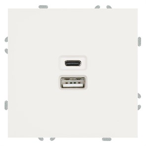 49879 Эмили RST10-5115-01 Механизм розетки USB + Type C, белый фарфор, soft touch (уп.12шт.) STEKKER (Китай) 49879