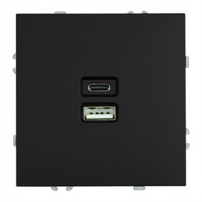 49853 Эмили RST10-5115-05 Механизм розетки USB + Type C, черный уголь, soft touch (уп.12шт.) STEKKER (Китай) 49853