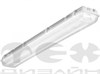 81590000 PHILIPS TL-D 58W/54-765 Лампа линейная люминесцентная G13 дневная (уп.25шт.) 872790081590000 - фото 604654