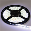 P5LD14ESB Ecola LED strip PRO 14.4W/m 12V IP65 10mm 60Led/m 6000K 18Lm/LED 1080Lm/m светодиодная лента на катушке 5м. P5LD14ESB - фото 605134