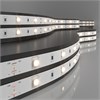 5050/30 LED 7.2W IP20 12V холодный белый свет 6500К Светодиодная лента (катушка 5м.) Elektrostandard a050581 - фото 605702