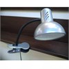 НТ 2077С серебро Светильник настольный на прищепке 60W, Е27, 220V (уп.18шт.) Трансвит АО НТ 2077С серебро - фото 606164
