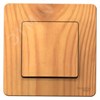 BLNVS010605 Blanca Одноклавишный переключатель (сх.6) 10А 250В~ ясень (уп.5шт.) Schneider Electric BLNVS010605 - фото 606282