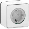 MUR39034 Mureva S Розетка 1 гнездо с заземлением, шторками и крышкой, IP55, белая (уп.10шт.) Schneider Electric MUR39034 - фото 607487