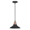 A5067SP-1BK Подвесной светильник Arte Lamp (Италия) A5067SP-1BK-1 - фото 608243