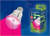 LED-A60-9W/SP/E27/CL Лампа светодиодная для растений (уп.10шт.) UNIEL (Китай) 09645 - фото 612148