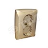 000426 ДУЭТ РОЗЕТКА ДВОЙНАЯ С З/К СО ШТОРКАМИ, ШАМПАНЬ (уп.12шт.) Schneider Electric 250313 - фото 613496