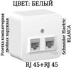 BLNIA045451 Blanca Розетка наружная двойная компьютерная RJ45, кат.5e, с изолирующей пластиной, белый (уп.12шт.) Schneider Electric BLNIA045451 - фото 614142