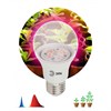Б0039071 FITO-14W-RB-E27-K Лампа светодиодная для рассады  А60 14Вт 220-240В красн./син.спектр ЭРА  FITO-14W-RB-E27-K - фото 614832