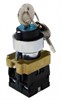 SQ0703-0009 Переключатель BG45 черный 2 положения с ключом 1з+1р (уп.10шт.) TDM SQ0703-0009 - фото 614919
