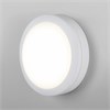LTB51 LED 15W 6500К  IP65 белый светодиодный светильник Elektrostandard LTB51 6500К  белый - фото 615636