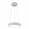 A6240SP-1WH Подвесной светодиодный светильник Arte Lamp (Италия) A6240SP-1WH - фото 615761