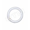 581082 L 22W/840 G10Q Лампа люминесцентная кольцевая (уп.12шт.) OSRAM ВЫВЕДЕНА ИЗ АССОРТИМЕНТА 4008321581082 - фото 616511