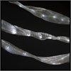 26682 LD301 Гирлянда 24V 100LED "бант" белый, 4смх6м, IP20 (уп.30шт.) FERON 26682 - фото 618363