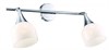 A9556AP-2CC Спот Arte Lamp (Италия) Trumpet, 2 плафона, хром, белый A9556AP-2СC - фото 618498