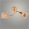 XA1603/2 FGD XA1603/2 FGD Люстра золото 2х60W E27 d500 h250 crst, HN24 золото 2х60W E27 d500 h250 crst, HN24 (Росток) 988384144 - фото 619866