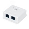 WS-8P8C-Cat.5e-2 Компьютерная розетка 2 гнезда RJ-45 Cat.5e Cabeus (Китай) 7247c - фото 621515