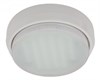 FW53FFECD Ecola GX53 DGX5318 Светильник накладной белый (уп.100шт.) FW53FFECD - фото 621646