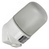 TA-NPB0-4504-060-K01-G Terma Generica НПБ 450-4 IP54 60Вт БЕЛЫЙ Светильник для бани и сауны настенный, наклонный (уп.16шт.) IEK® TA-NPB0-4504-060-K01-G - фото 622520