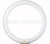 55942515 PHILIPS TL-E 22W/33-640 G10q белый свет Лампа люминесцентная кольцевая (уп.12шт.) 871150055942515 - фото 622938