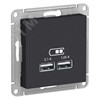 ATN001033 AtlasDesign Atlasdesign Механизм розетки USB 2 гнезда A+A 5В 1х2.1А 2х1.05А, карбон Systeme Electric (Россия) ATN001033 - фото 623011