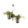 4681/1W ODL20 625 черный/белый Настенный светильник E14 1*40W 220V FLOWER ODEON LIGHT 4681/1W - фото 623651