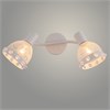 DA6118/2 WH Спот белый 2x60W E14 h185, HN24 (Росток) 988383216 - фото 623914