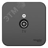 BLNTA000016 Blanca Розетка TV телевизионная оконечная, с изолирующей пластиной, антрацит (уп.18шт.) Systeme Electric (Россия) BLNTA000016 - фото 624138