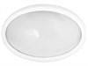 LBL-0212-NW C01 Светильник LED влагозащищённый 6W 12LED 220V IP65 овал (уп.24шт.) Camelion LBL-0212-NW C01 - фото 624530