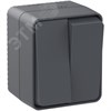 ATN544051 AtlasDesign Profi54 Двухклавишный выключатель (сх.5) IP54, антрацит Schneider Electric ATN544051 - фото 625567