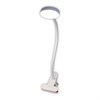 CL803070N Ньютон Белый LED 7W*4000K, на клипсе Лампа на прищепке Citilux (Дания) CL803070N - фото 626691