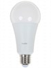 LED25-A65/830/E27 Светодиодная лампа 25Вт 220В (уп.10/100шт.) Camelion LED25-A65/830/E27 - фото 628018
