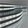 2835/60LED 4.8W IP20 12V холодный белый свет 6500К Лента светодиодная, катушка 5м.(уп.250шт.) Elektrostandard a040993 - фото 628297