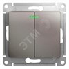 GSL001253 Glossa Двухклавишный выключатель с подсветкой (сх.5а), платина, механизм (уп.20шт.) Schneider Electric GSL001253 - фото 629164