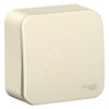 BLNVA106012 Blanca Одноклавишный переключатель (сх.6) 10А 250В~, с изолирующей пластиной, молочный (уп.15шт.) Schneider Electric BLNVA106012 - фото 632196