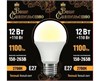 866975 Ваше сиятельство A LED 12Вт E27 2700К 1100Лм груша 220В (замена 100Вт) Лампа светодиодная (уп.10шт.) Zhongshan Forest Technology Co., Ltd. 866975 - фото 632584