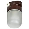 TA-NPB0-4502-060-K30-G Terma Generica НПБ 450-2 IP54 60Вт КОРИЧНЕВЫЙ Светильник для бани и сауны настенно-потолочный (уп.16шт.) IEK® TA-NPB0-4502-060-K30-G - фото 632913