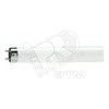 81582500 PHILIPS TL-D 36W/33-640 G13 T8 белый свет Лампа линейная люминесцентная (уп.25шт.) 872790081582500 - фото 634205