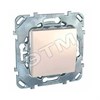 MGU5.203.25ZD Unica Одноклавишный переключатель (СХ.6) бежевый (уп.10шт.) Schneider Electric MGU5.203.25ZD - фото 634326